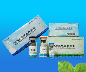 注射用盐酸克林霉素全面解析 从功效、代理到市场准入信息